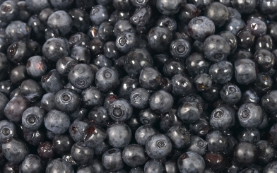 acairuits-berries-acai-berries-wide